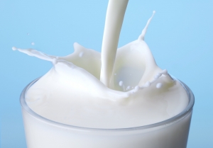 Latte crudo: più rischi o più benefici?