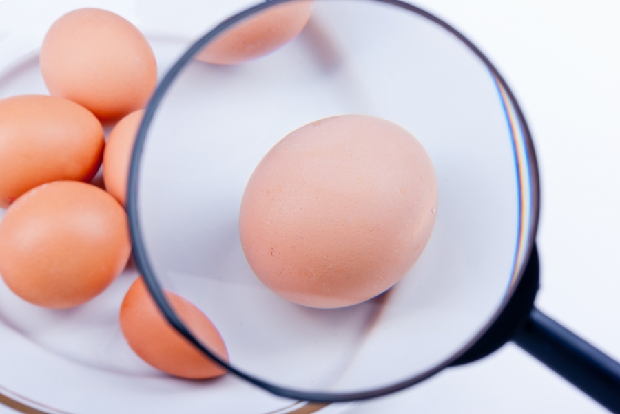 Fipronil. Cos’è e come mai sono state trovate uova contaminate